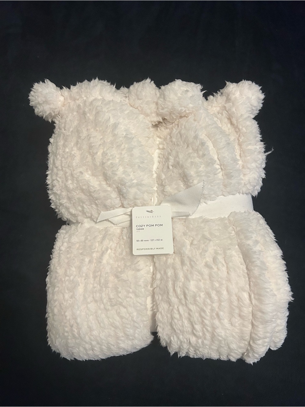 Pottery Barn Cozy Pom Pom Sherpa Throw